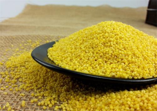 ������ʲô����С����