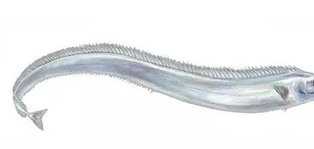 �����������������أ���������Ѫ��