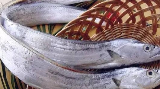 �����������������أ���������Ѫ��