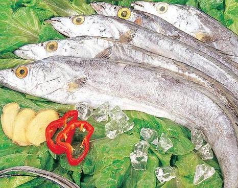 �����������������أ���������Ѫ��