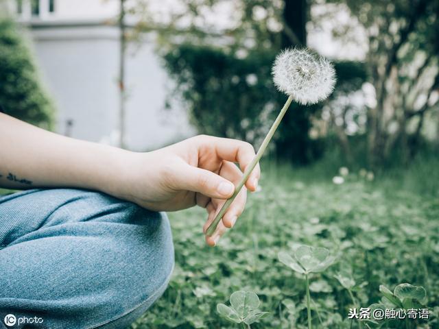 ��Ψ�����ӡ�һ·ʧȥ��һ·ӵ��