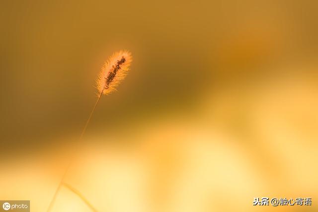 ��Ψ�����ӡ�һ·ʧȥ��һ·ӵ��