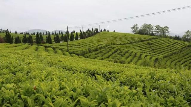 ����չ�����͵�������ˣ�����Դ��һ�Ʋ��㣿