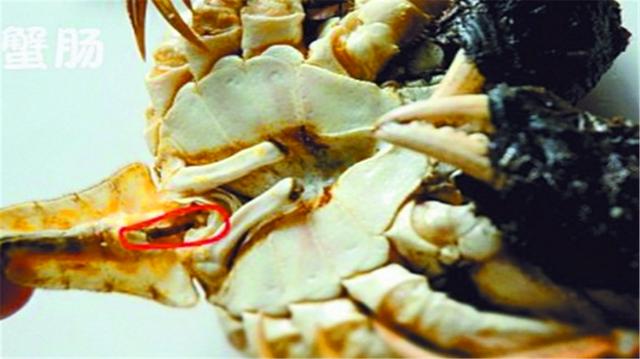 �з���ܳԵ�4����λ���ܶ��˶���֪�����ɲ�Ҫ�ٳԴ���