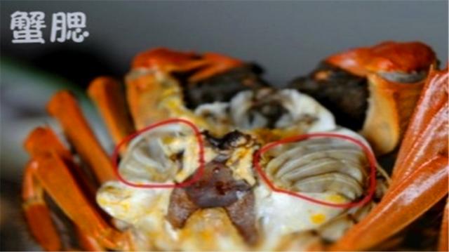 �з���ܳԵ�4����λ���ܶ��˶���֪�����ɲ�Ҫ�ٳԴ���