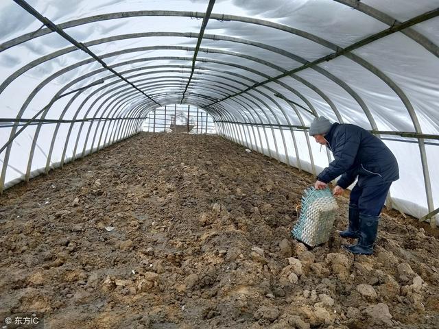 ����ͭ��ʲô�����Է������ӻ�ή���ƹϿ�ή�Ȳ�����