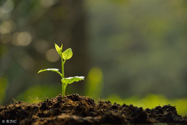 ����ͭ��ʲô�����Է������ӻ�ή���ƹϿ�ή�Ȳ�����