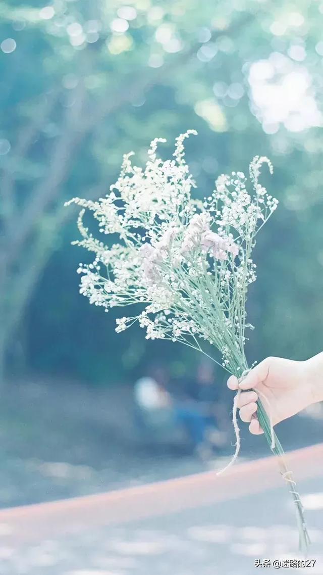 ��Ƭ���ߵ�ʹ�� | �Ź���������ps��