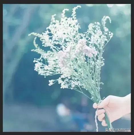 ��Ƭ���ߵ�ʹ�� | �Ź���������ps��