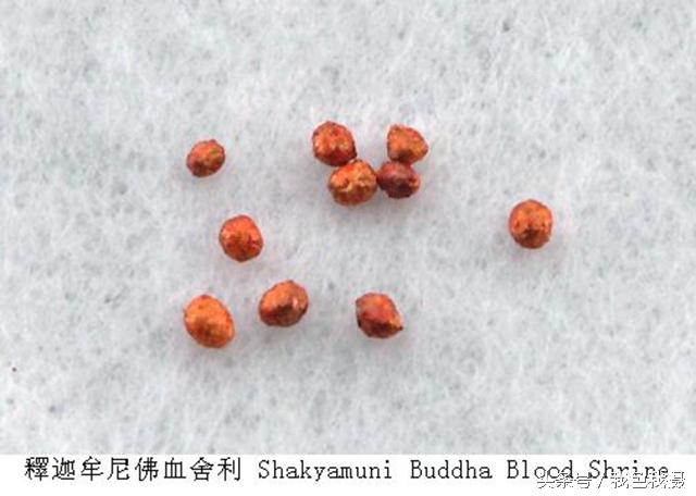 �������������ӵ�����ɶ��ѧ�ɷ֣����ڿ���ȴ��˵��