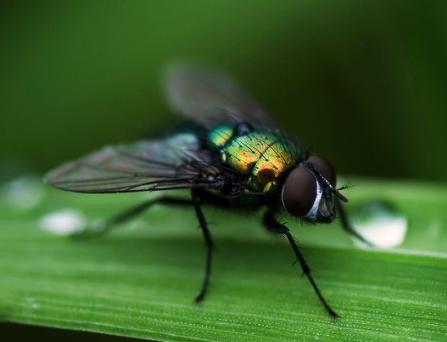 ���ĺ��е��ĺ���ָ������?