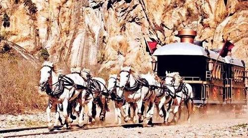 �����ӵ��ɡ��е����ϸ�ڣ�����Ŀ�������