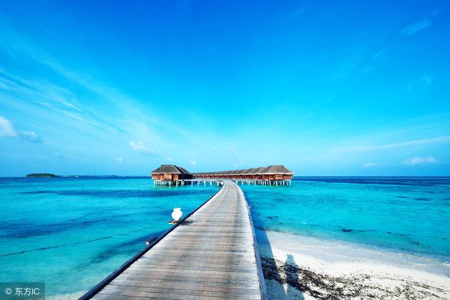 Ȥζ��һ�£�ʲô����Խ��Խ��������6������¶�4���Ĳ�һ�㣡