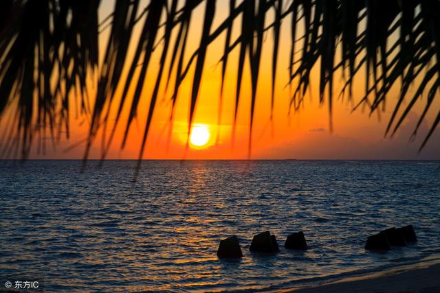 Ȥζ��һ�£�ʲô����Խ��Խ��������6������¶�4���Ĳ�һ�㣡