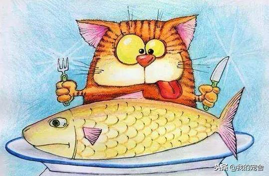 ��֪��èϲ�����㣬���󲿷ֲ�֪��èΪʲôϲ������