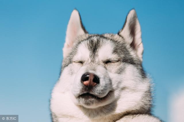 "usually���͡�often"������ʲô���