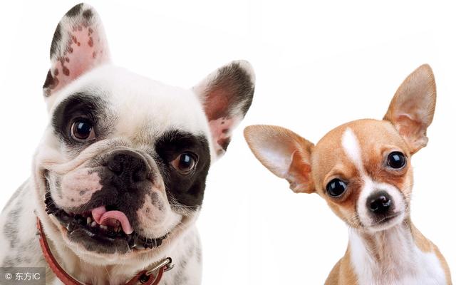 "usually���͡�often"������ʲô���