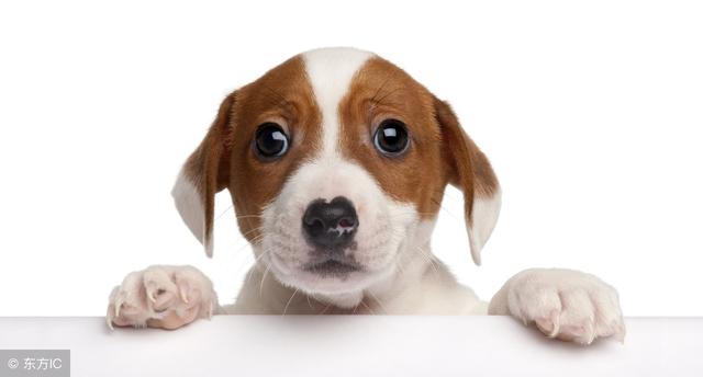 "usually���͡�often"������ʲô���