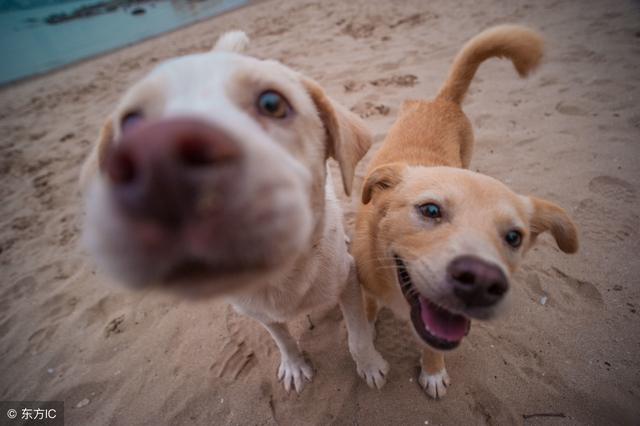 "usually���͡�often"������ʲô���