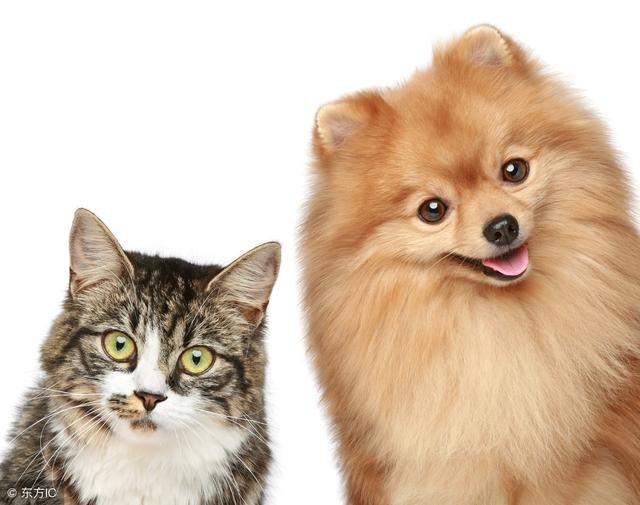 "usually���͡�often"������ʲô���