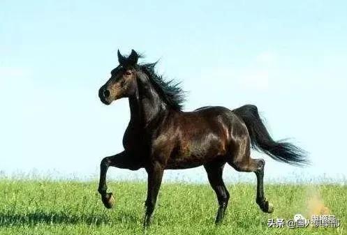 ������������Ի�ͷ�ݡ����°����Ǿ�������ϧʮ�˾Ų�֪��