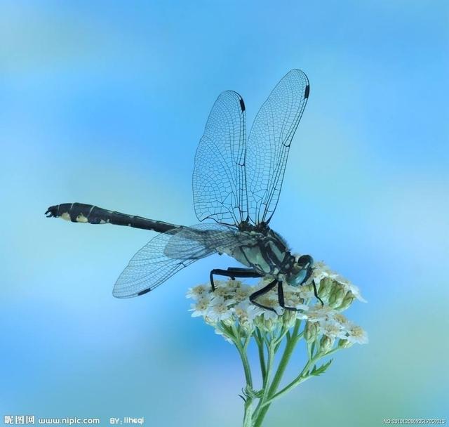 ���ѳ�ʲô��