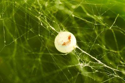 ���ѳ�ʲô��