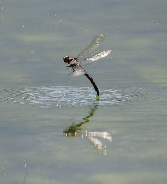 ���ѳ�ʲô��