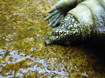 ˮ����ôɱ��ְҵ���ָ�������ô����