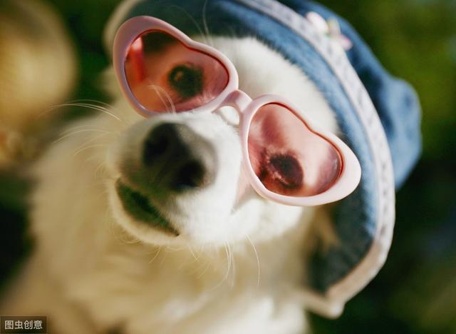 pink�Ƿ�ɫ��lady��Ůʿ���ѵ�pink lady�ǡ��ۺ�Ů�ɡ���