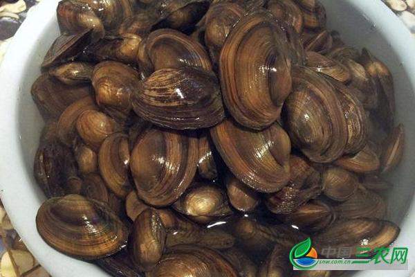 �Ӱ���ʲô��