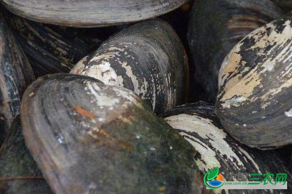 �Ӱ���ʲô��