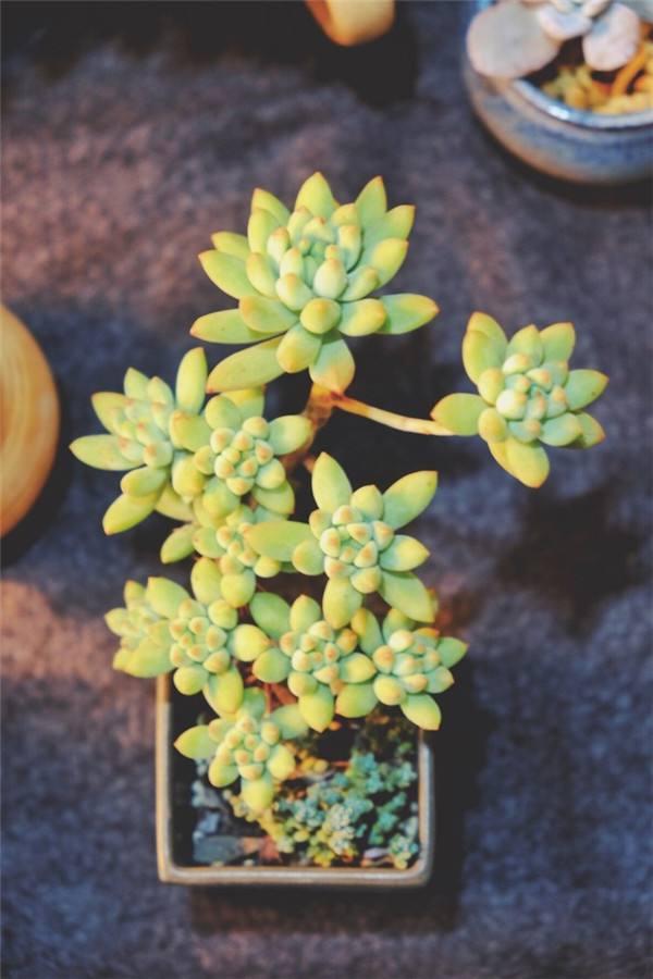 �������ۣ�����������Ⱥþ䣩