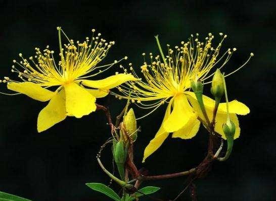 �������ۣ�����������Ⱥþ䣩