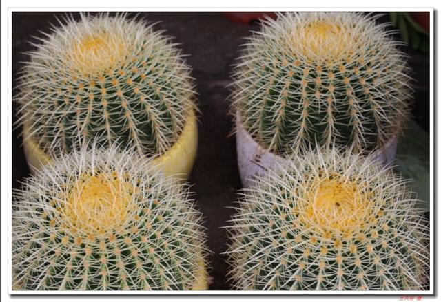 �������ۣ�����������Ⱥþ䣩