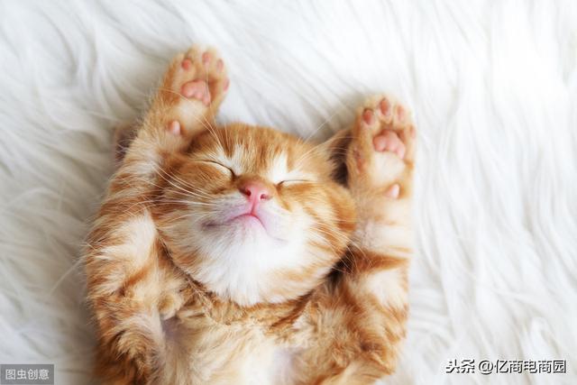 ȫ�������Ʒʮ�������г�����վ���������������