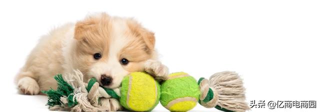 ȫ�������Ʒʮ�������г�����վ���������������