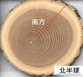 ��˾�����㣺��η��嶫��������