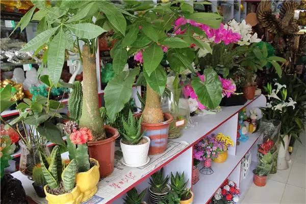 10�����ű�����ҵ����Ŀ��������û�ʺ����