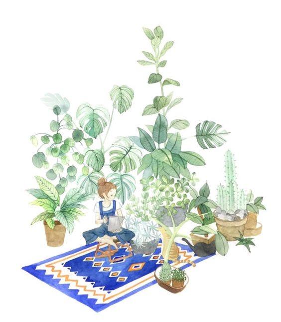 һ���������������ı��ʲ�����ģ�����ѧ���͹��ʣ�������һ�㣡