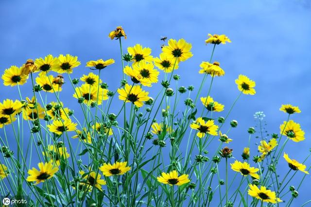 �볪�ø裬ȴһֱ��֪������������������ϰ���ɣ��͸����������