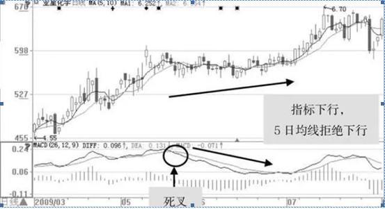 �������µ�����ζ��ʲô���Ƿ��ջ��ǻ���������������10�飬̫����͸����