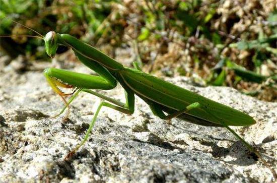 ����ʲô���Ǹ����߲��ܵ�С�Ի�