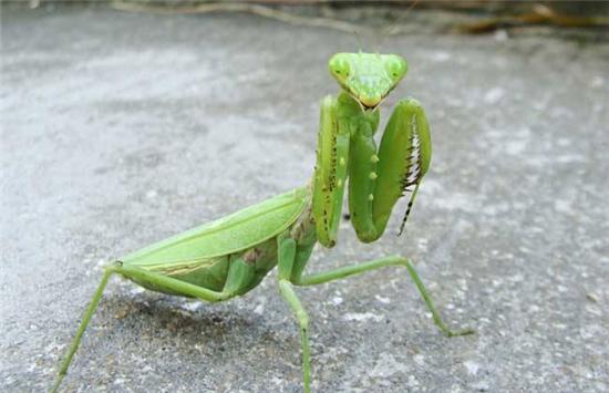 ����ʲô���Ǹ����߲��ܵ�С�Ի�