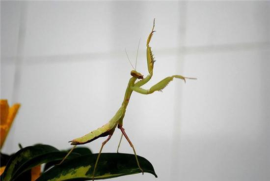 ����ʲô���Ǹ����߲��ܵ�С�Ի�