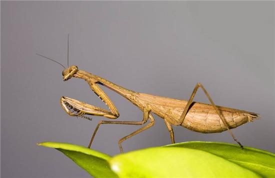 ����ʲô���Ǹ����߲��ܵ�С�Ի�