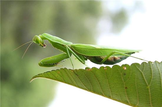 ����ʲô���Ǹ����߲��ܵ�С�Ի�