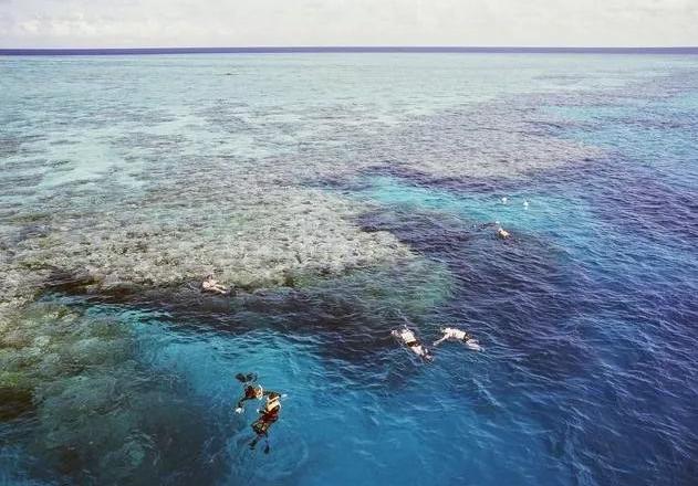 ʮ������Ӫ��������ÿһ�����߸����˼ά