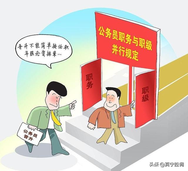 ְ���ְ����ʲô�����������