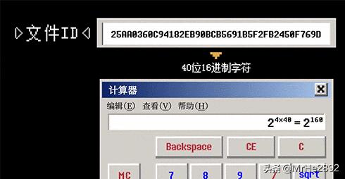 BT������ʲô��һ����ȫ��������